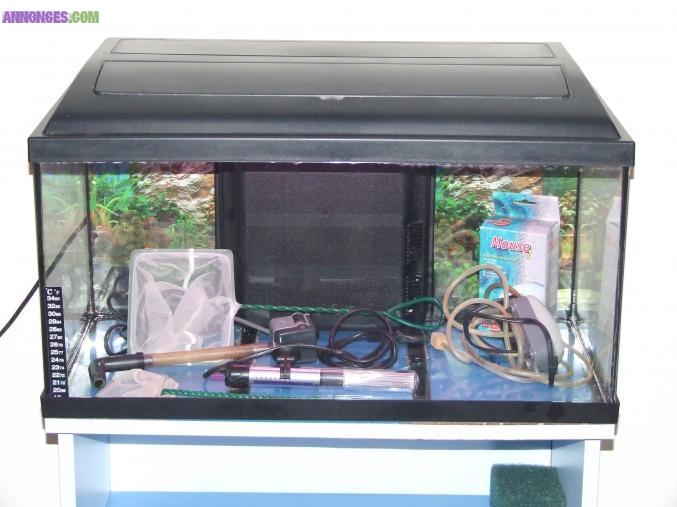 Aquarium + Meuble