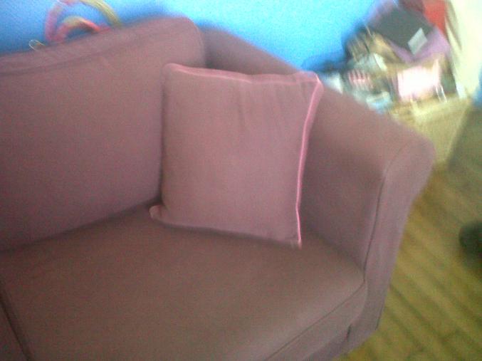  Chouette canapé convert. cassis Alinéa + coussin 