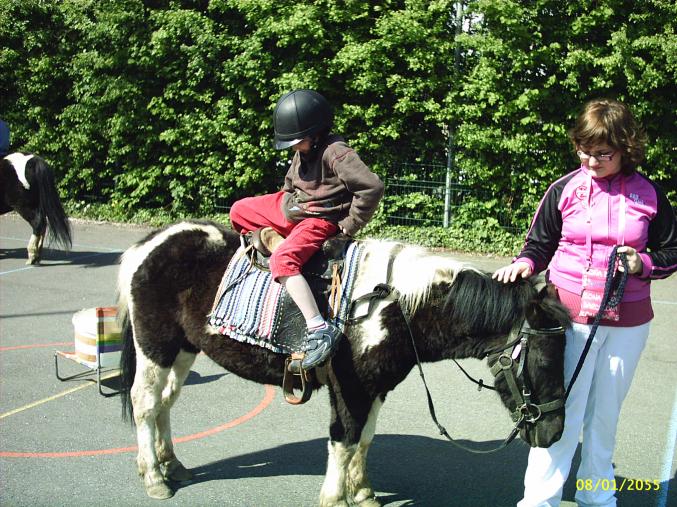 Baptêmes sur des poneys