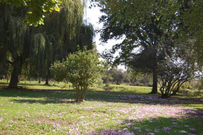 Longere de 260m² au calme