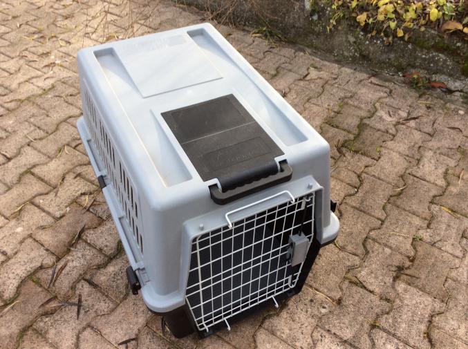 Caisse de transport pour chien