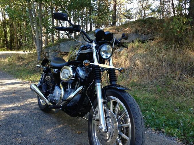  Harley-Davidson xl1200s 