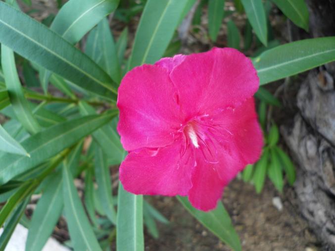 RECHERCHE DES CHANTEUR(SE)S ET MUSICIEN(NE)S