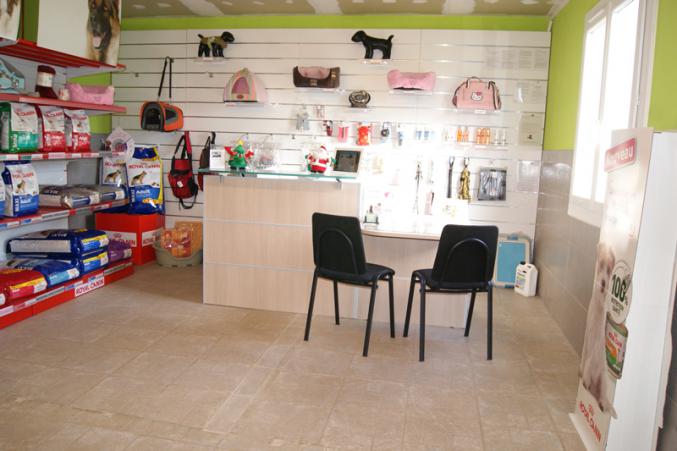 Pension canine et féline, éducation, toilettage, boutique à vendre