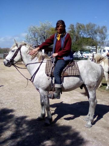 Cheval camargue
