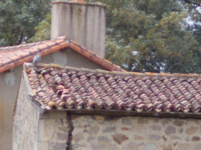 Debarrasse et netoie gratuitement