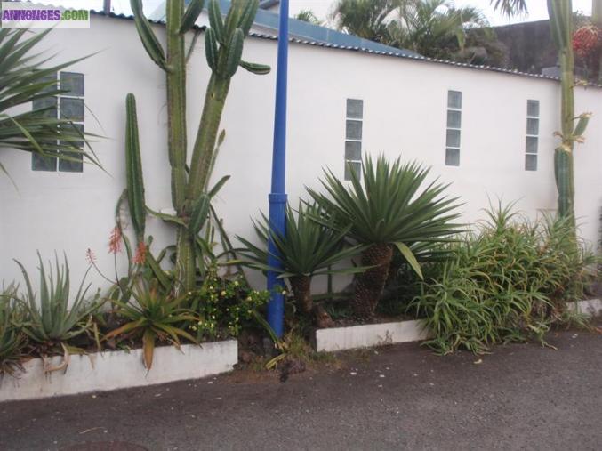 Vente maison F4 Sud sauvage Réunion