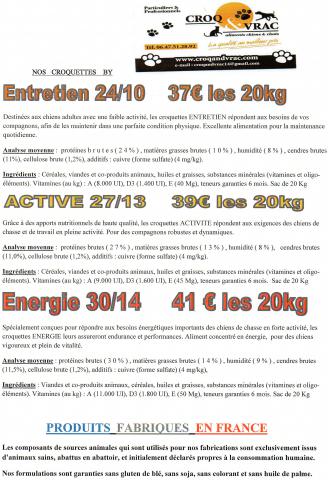 Croquettes pour chien