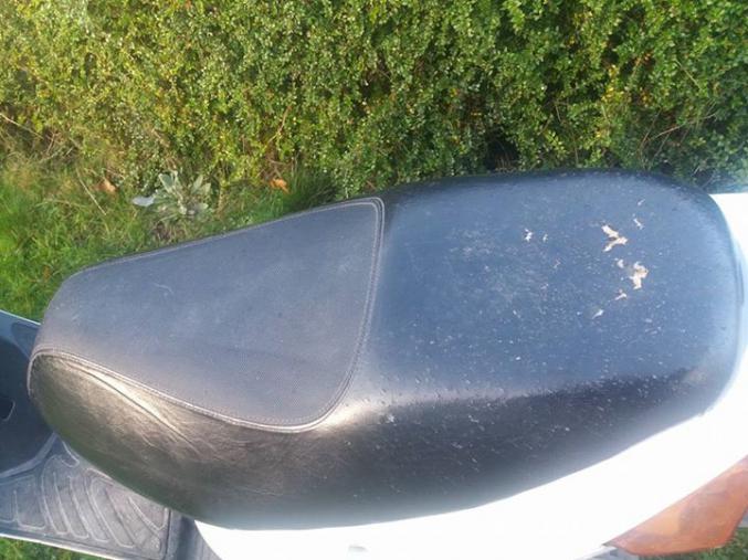 Scooter Peugeot v clic 4 temps