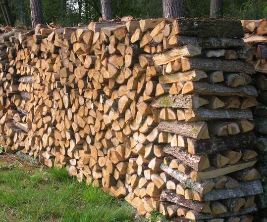 Bois de chauffage bien sec