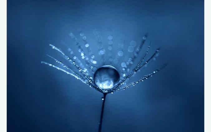 Aide-soignante diplômée propose aide à la personne sur l’Agenais 47000