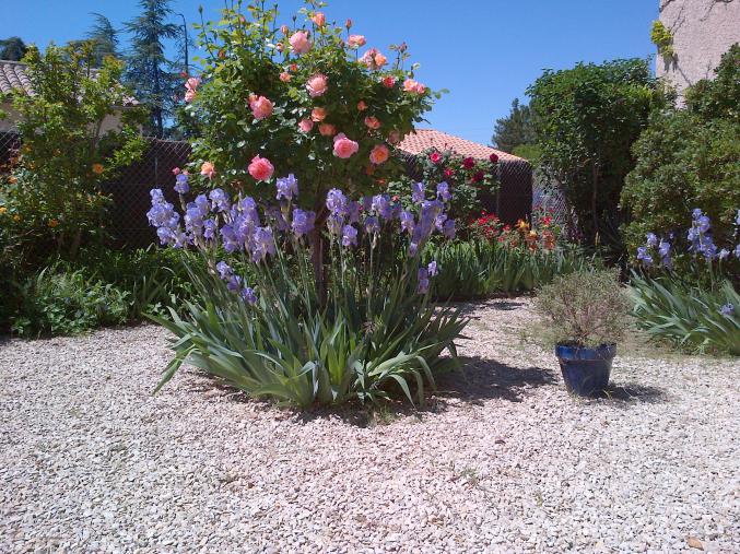 Sud Luberon, maison provençale traditionnelle  20mn d'AIX