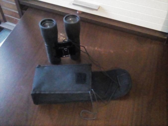 JUMELLES LONGUES PORTÉES