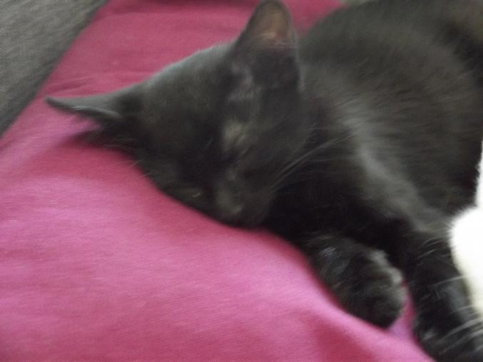 Donne contre bons soins