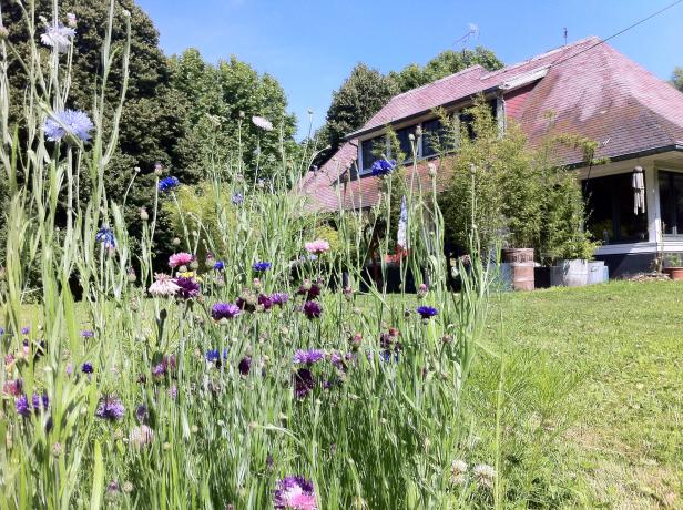 Cysoing - Le vivier  chambre la rumba