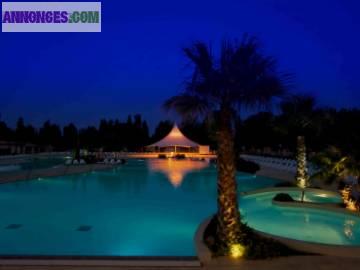 Venez faire la fete a la carabasse