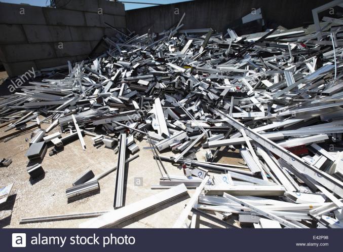 Epaviste professionnel