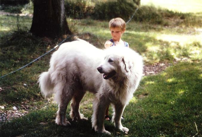 Je deviens papy mamy de coeur sur le Gard