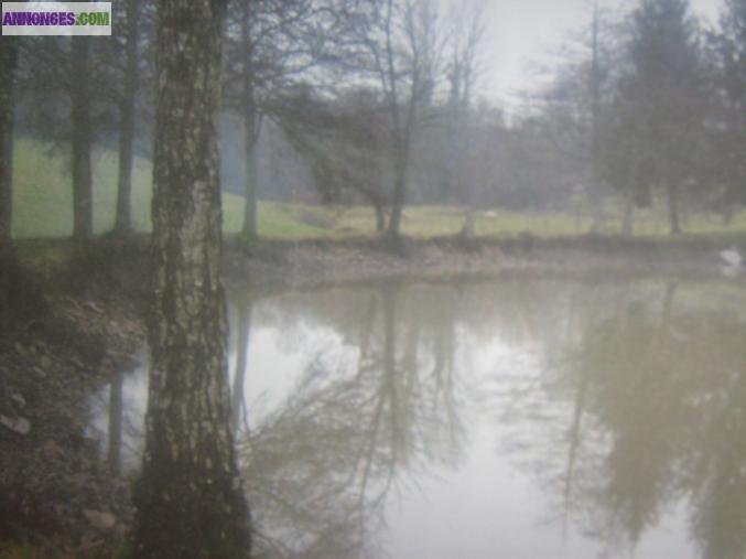 AV maison , terrains et étang