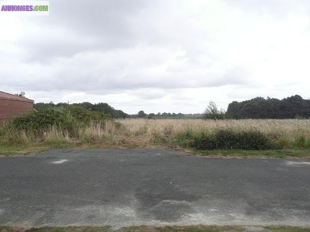 Terrain proche lac du marillet vendee