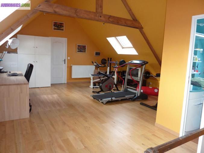 Magnifique maison 250m2, 210000 euros