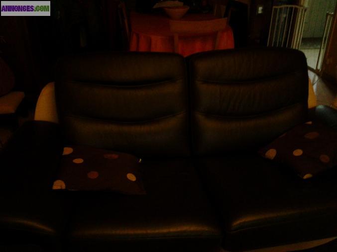 Canape 2 places cuir
