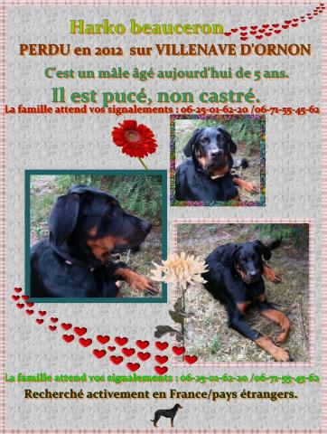 Beauceron perdu en France