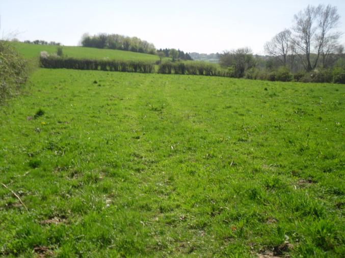 Terrain constructible