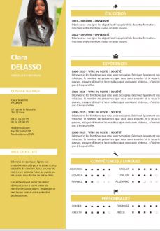 CV uniques et lettre de motivation personnalisée