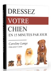 Dressez Votre Chien en 15 Minutes par jour !