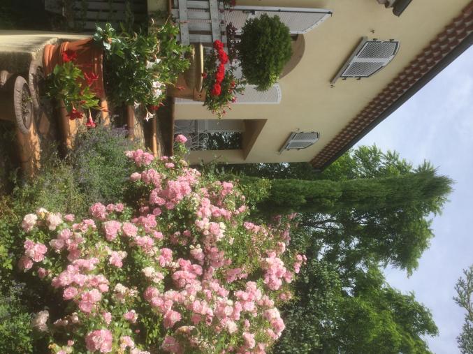 Auxiliaire de vie 24/24