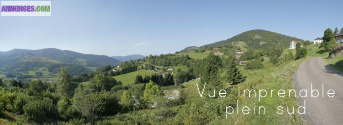 BUSSANG-A VENDRE 6 PARCELLES DE TERRAIN A BATIR VIABILISEES