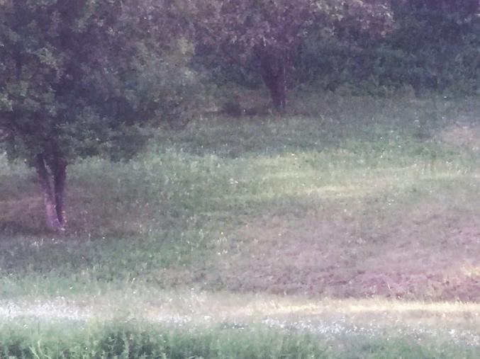 Terrain constructible 1400 m²