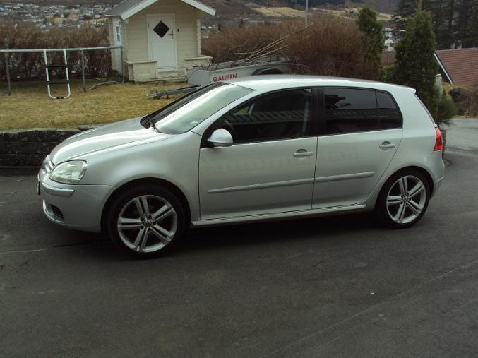 Volkswagen Golf V 1.9 TDI 105 cH 5P berline