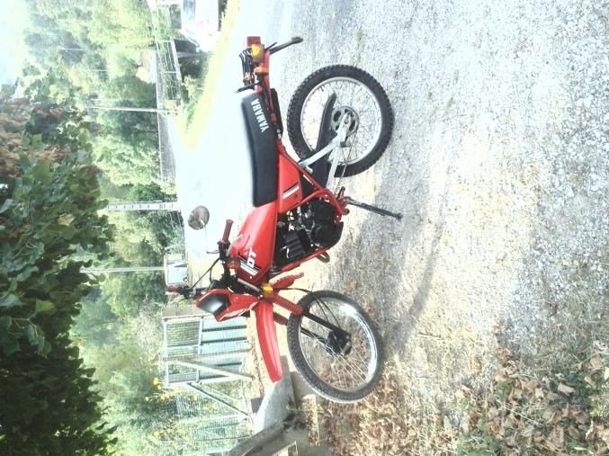 Yamaha dt 50 collection