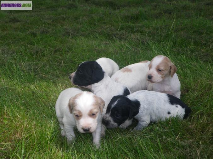 Sebastien.du22@live.fr