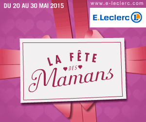 Entretien menager et garde d'enfant à docimile ou sortie d'école.