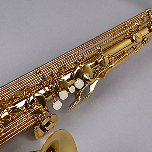 Saxophone YAMAHA Ténor YTS-480