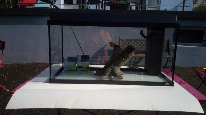 AQUARIUM JUWEL 110 L