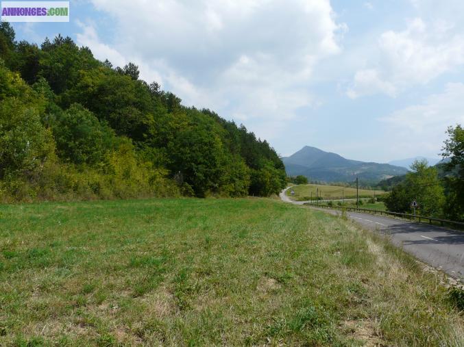 Terrain  non constructible + boisplus bois