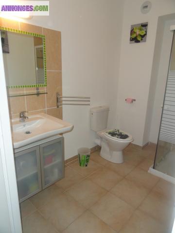 T2 neuf, proche plage et vue sur tour de France