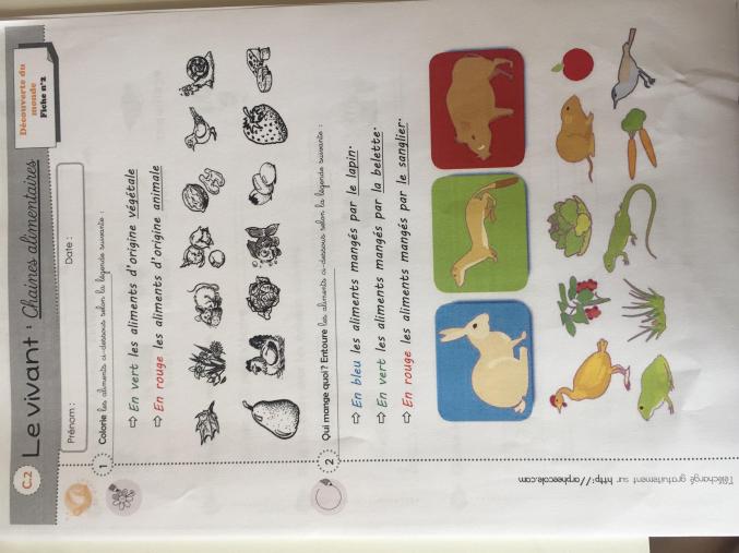 Cherche efannts à garder