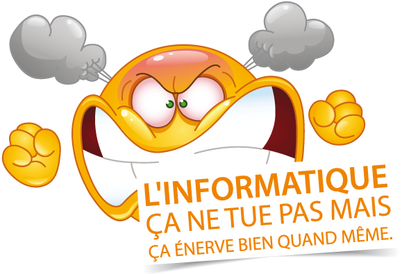  (Réparation / Maintenance / Assistance / Formation /...)