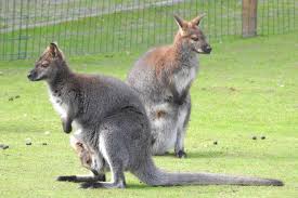 Séjour de vacances enfants