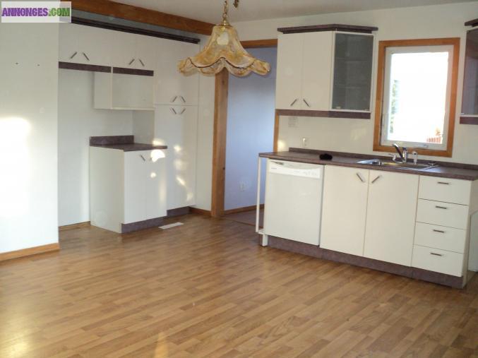 Maison a vendre animalerie pension elevage chien chat