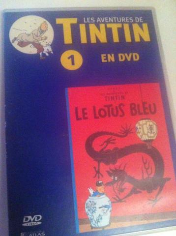 DVD Tintin