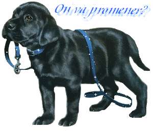 Je m'occupe de votre chien