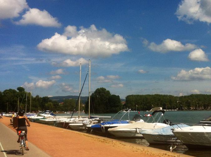 Produits régionaux/spécialités savoyardes