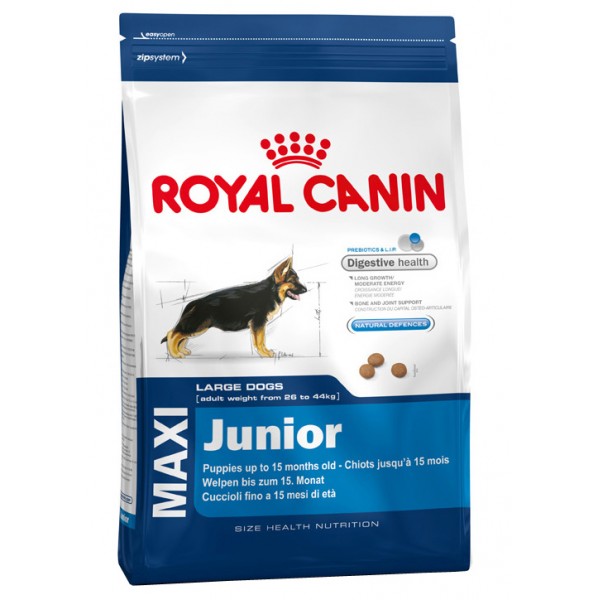 Gros lot de croquette royal canin