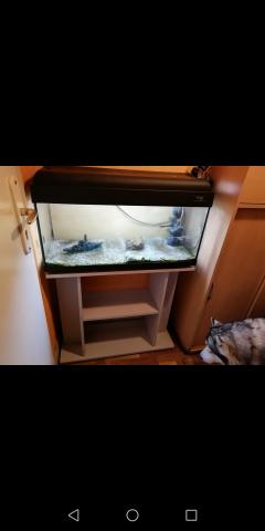 Aquarium 80cm avec meuble
